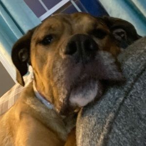 Meet your Posher, Shayla